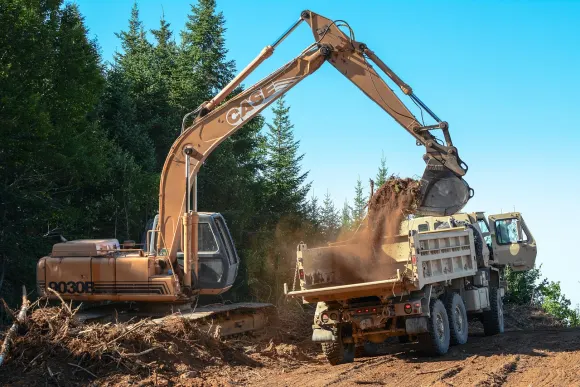 Casino Golden Crown Supporto